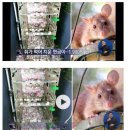 한끼식사 이미지