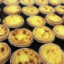 타르트 팜 이미지