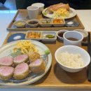 한조카츠 이미지