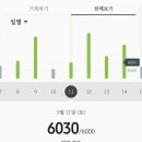 진풍헬스 이미지