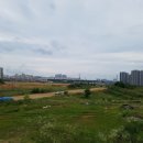 반석약국 이미지