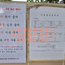 한일양지뜸작은도서관 이미지