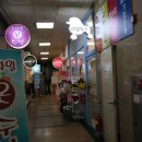 리얼독스쇼룸