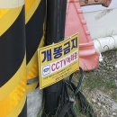 빙수당국제점 이미지