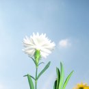 금정체육공원 이미지