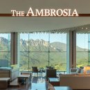 더엠브로시아 이미지