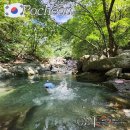 포천3교 후 | 서울 근교 포천 계곡 지장산계곡 수심 주차 솔직후기