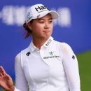 블루베이 이미지