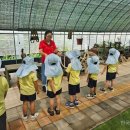 칠금초등학교 이미지