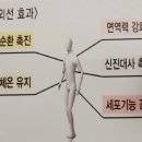 1도의기적찜질