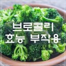 브로콜리 효능 부작용 : 칼로리와 영양성분 및 올바른 보관법