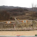 예천곤충연구소 Daum카페