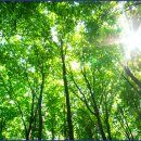 베스트힐링의원 이미지