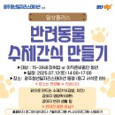 반려동물 수제간식 만들기 이미지