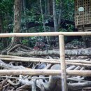 비치식당 이미지