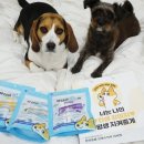 호인덴탈 | 강아지간식 종근당라비벳 중형견용 유산균츄