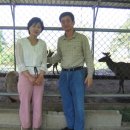 현숙 농장 이미지