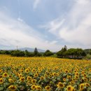 용필농장 이미지