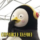 아이네스트