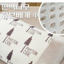 편백나무 큐부베개 10,000원 특가쎄일!! 이미지