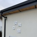 왈왈스테이 이미지