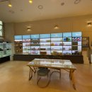 도그마루 강아지 고양이 양산화명점 이미지