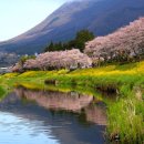 5805 | (후쿠오카투어) 후쿠오카 유후인 버스투어 추천 – 인디고트래블 한국어 안내 일정 및 후기 비교