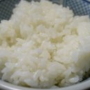 밥 이미지