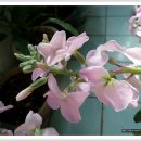 스톡(stock) 이미지