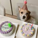 오간식 영등포점 이미지