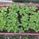 록수산장 이미지