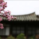 교촌마을 이미지