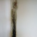 남목토토 | 남구 야음동 결로와 습기 원천제거로 극심한 벽지곰팡이 토토홈케어가 재발없이 확실하게 해결했습니다 ~
