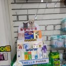 튼튼우리약국 이미지