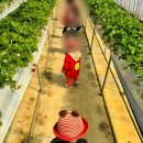 신나는어린이집 이미지