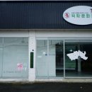아침해협동조합 티스토리