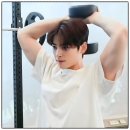 코부기수입 | 코필러 후기 | 현실적인 조언과 필러 정보