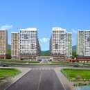 숲속의아침2 이미지