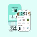 캐스트플립