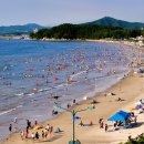 선우렌트카 이미지