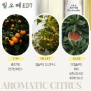프랑스 니치 향수 구딸(GOUTAL)이 선사하는 싱그러운 여름날의 향기 5종 시향 후기