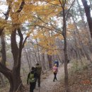 운림중학교 이미지