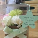근원농장 네이버블로그
