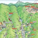 (28인승테마2025년 7월 19일 토요일 )양구 DMZ 도솔길 야생화 &amp; =을지전망대+숲밥 점심 신청안내 이미지