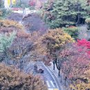 소노문 단양 별관 | 단양 숙소 추천 강변호텔 감성 가득한 소노벨 소노문단양 리조트 숙박 후기