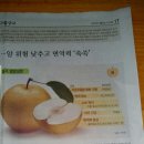 논뜨락 산뜨락 이미지