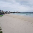 포리롱월정 이미지