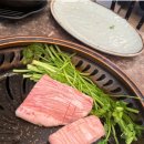 신사-102 | 신사역 가성비 맛집 호보식당 찐 후기!