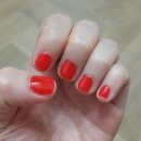 빨강이 손톱 이미지