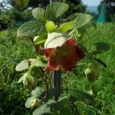 장정농장 이미지